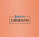 Shree Sadhna Sky LLP